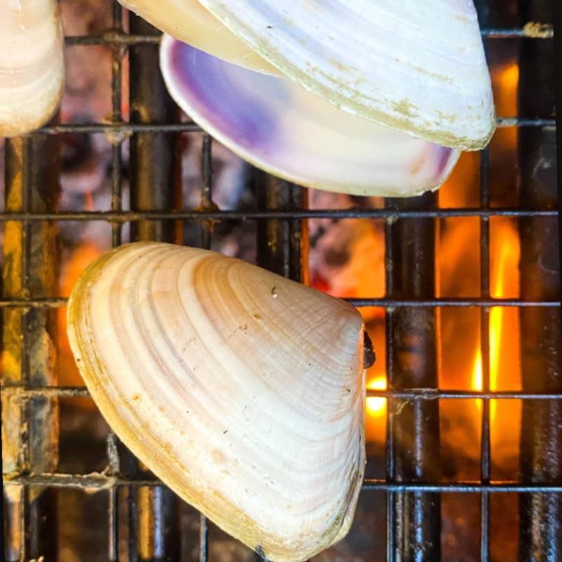 88FA5EBA 3694 4BD9 A58A FA1CA31AA392