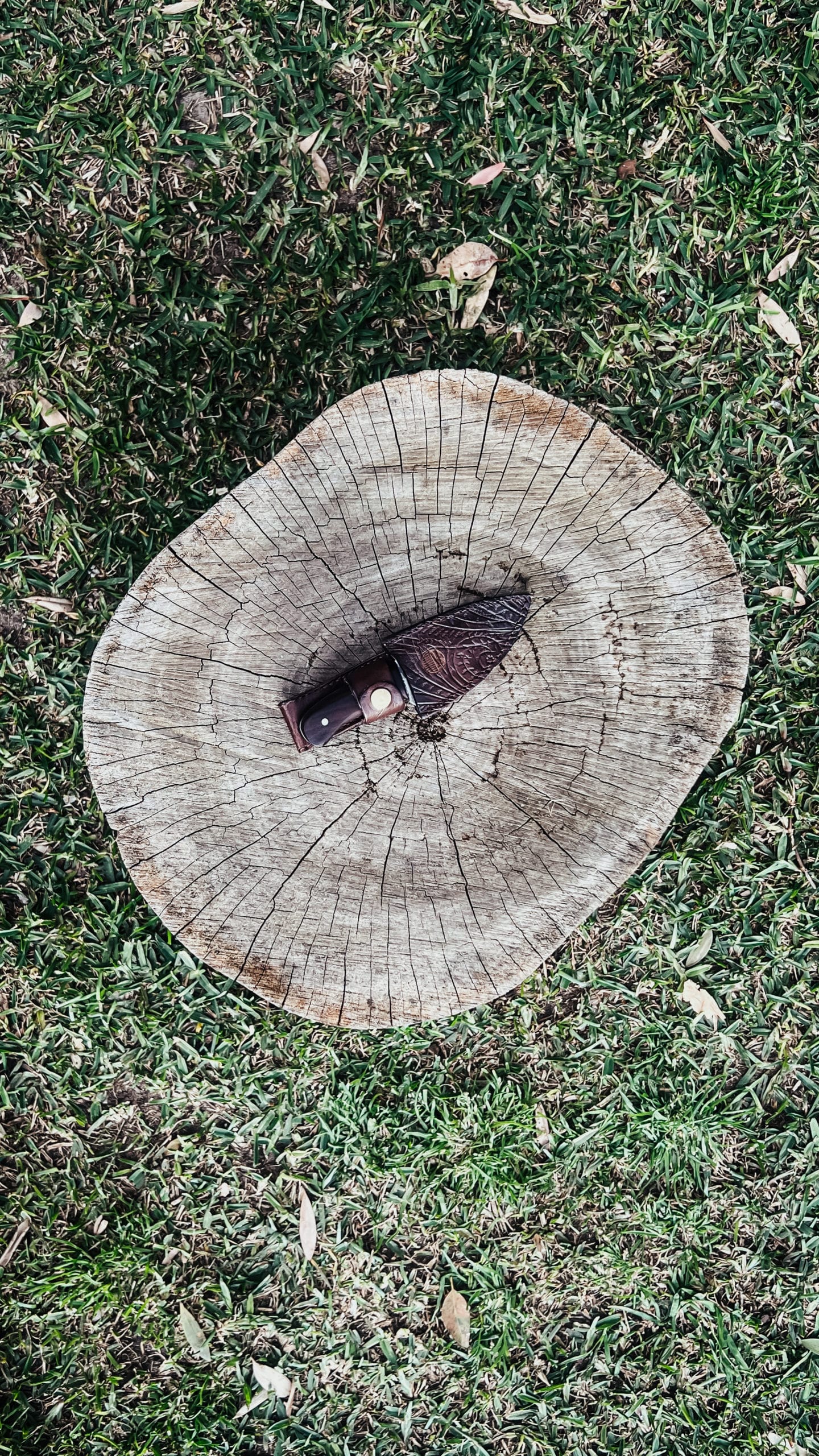 Handmade Skinning Hunting Knife