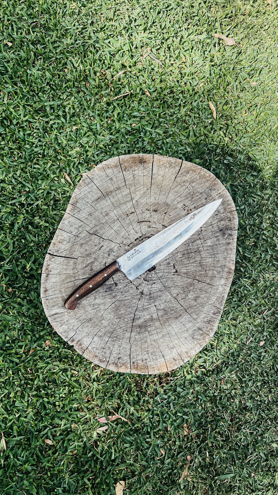 Handmade High Carbon Steel Chef Knife
