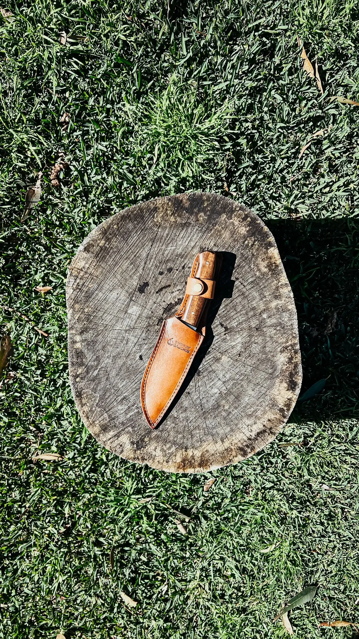 NEW-EDC-LOBO-1