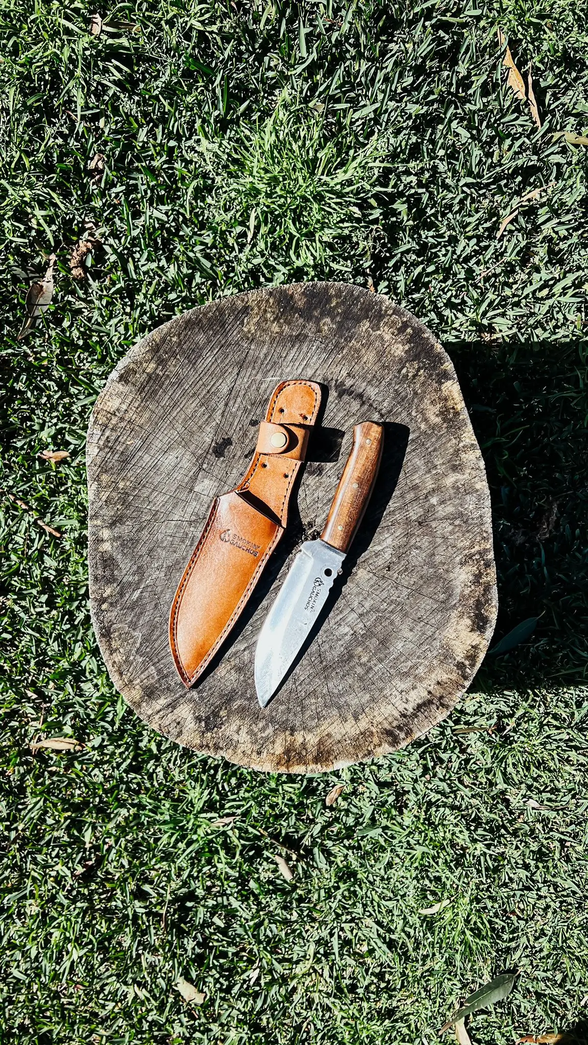 NEW-EDC-LOBO-8